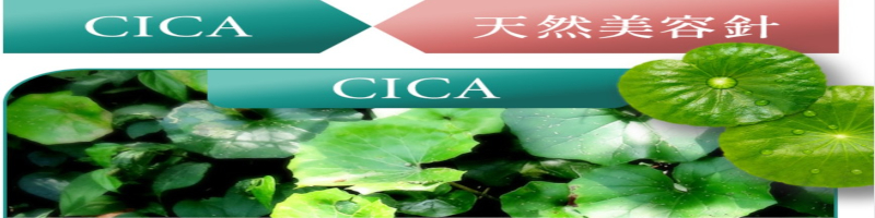 KATAN Cica �_�[�}�q�b�g�Z�����T���T�C�g